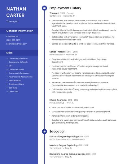 Resume example 5