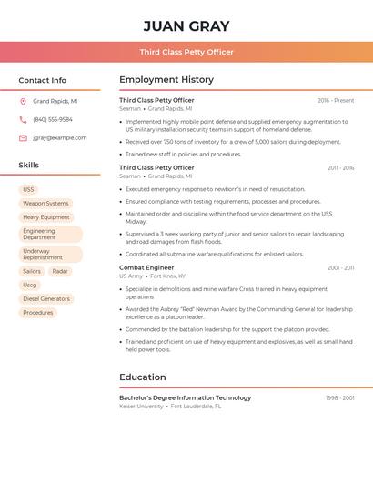 Resume example 3