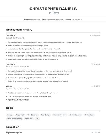 Resume example 2