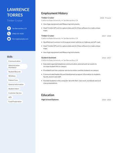 Timber Cruiser Resume