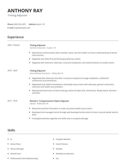 Timing Adjuster Resume