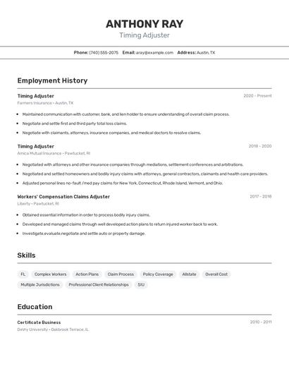 Timing Adjuster Resume