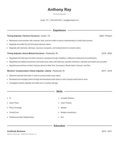 Timing Adjuster Resume