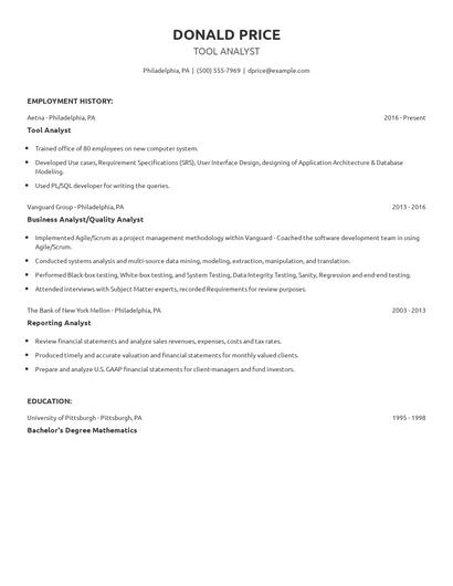 Tool Analyst Resume