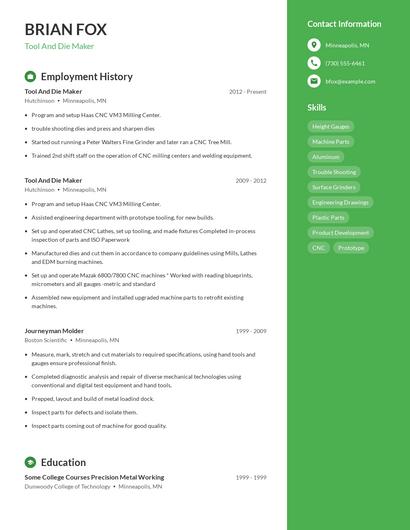 Resume example 5