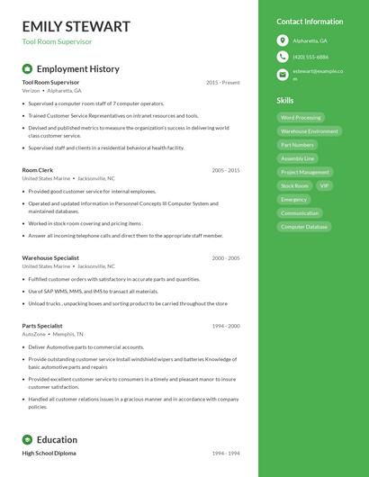 Resume example 4