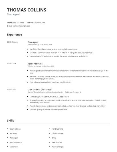 Tour Agent Resume