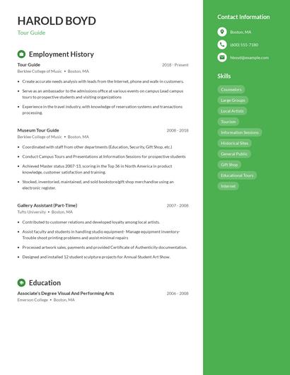 Resume example 4
