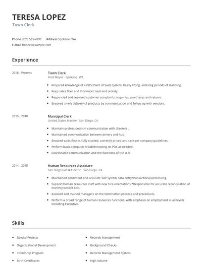 Town Clerk Resume