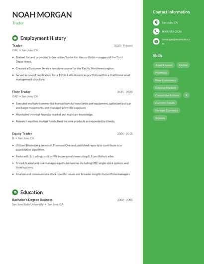 Resume example 4