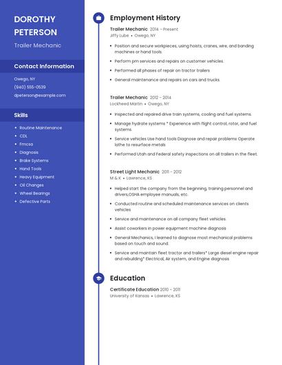 Resume example 5