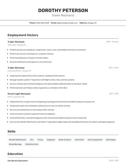 Resume example 2