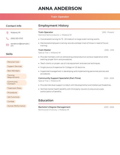 Resume example 3