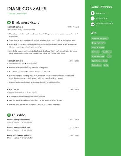Resume example 4