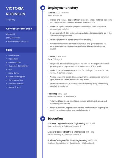 Resume example 5