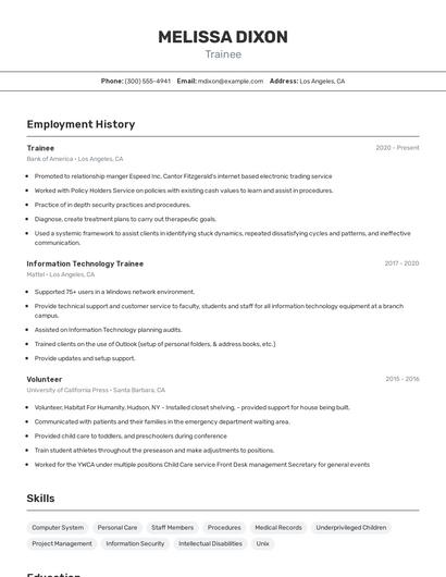 Resume example 2