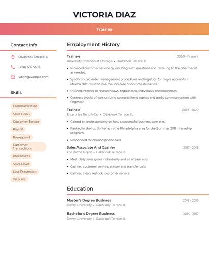 Resume example 3