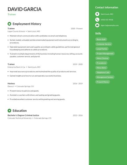 Resume example 4