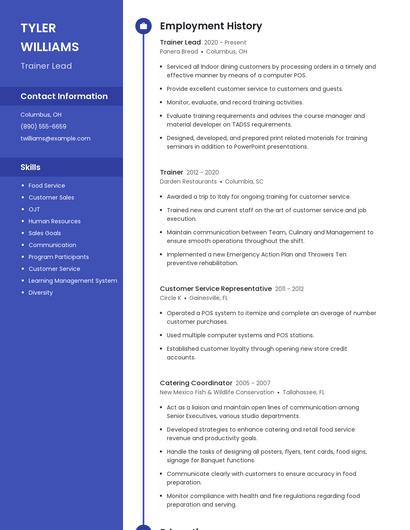 Resume example 4