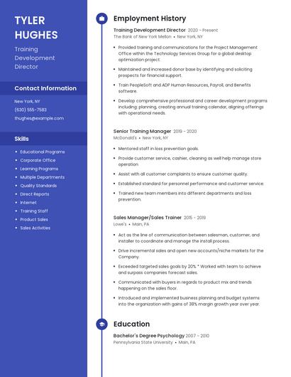 Training Development Director Resume