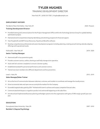 Training Development Director Resume