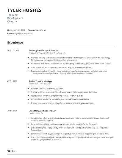 Training Development Director Resume