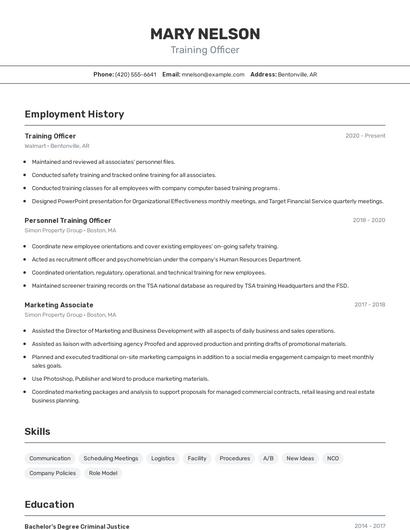 Resume example 2