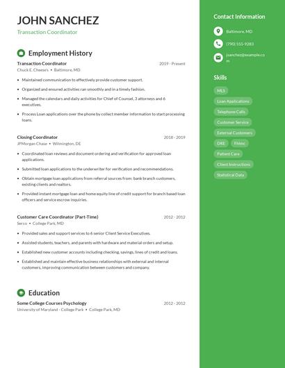 Resume example 4