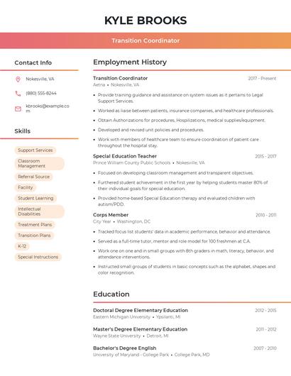 Resume example 3