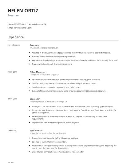 Treasurer Resume