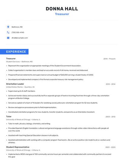 Treasurer Resume