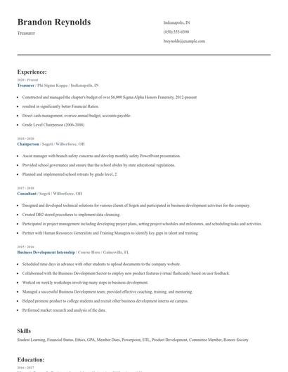 Treasurer Resume