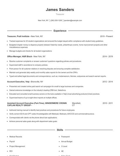 Treasurer Resume