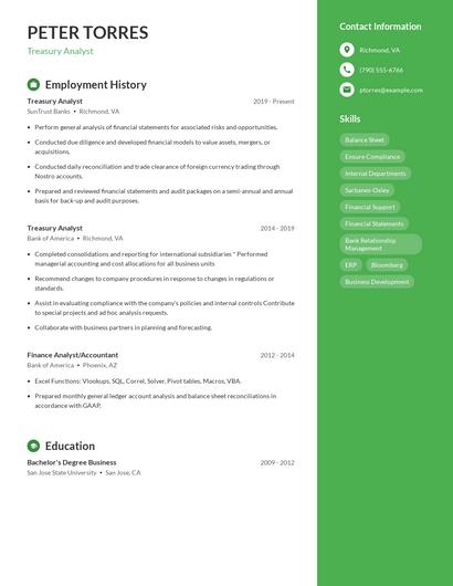Resume example 5