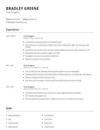 Tree Surgeon Resume