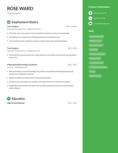 Tree Surgeon Resume