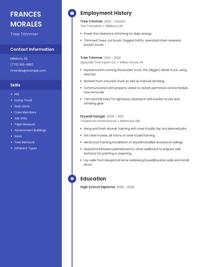 Resume example 4