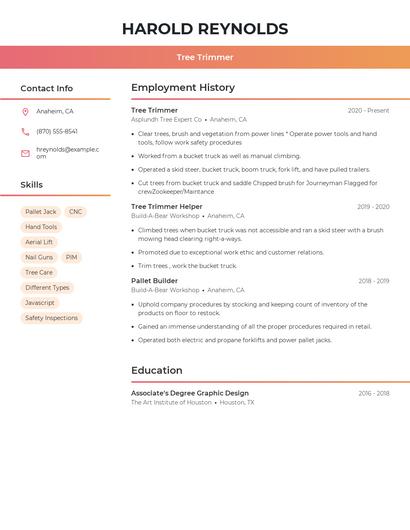 Resume example 3