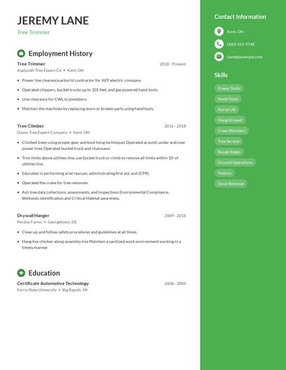 Resume example 5