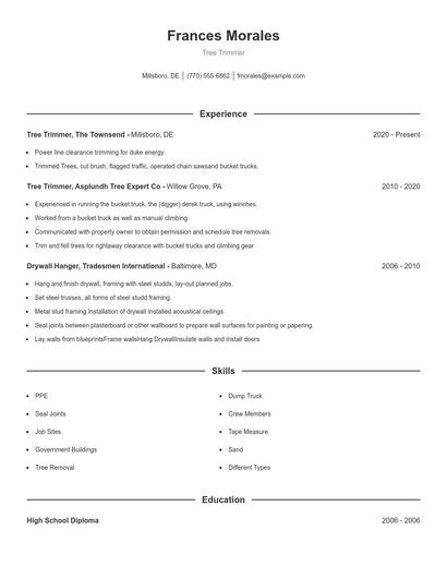 Resume example 1