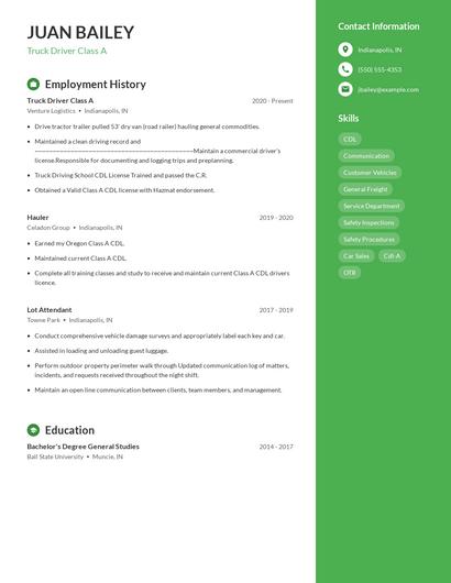 Resume example 4