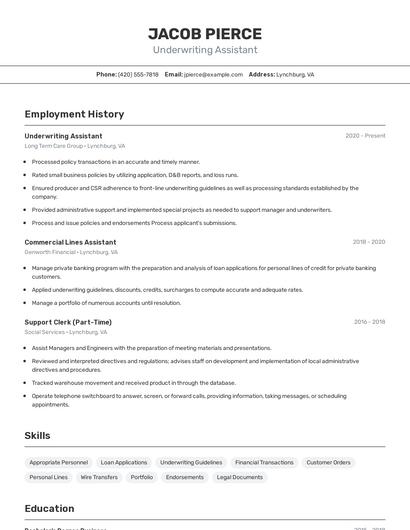 Resume example 2