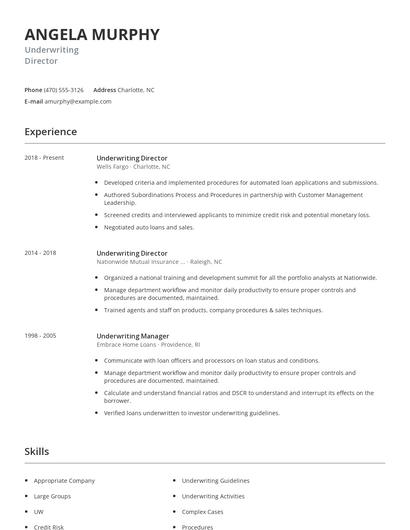 Underwriting Director Resume