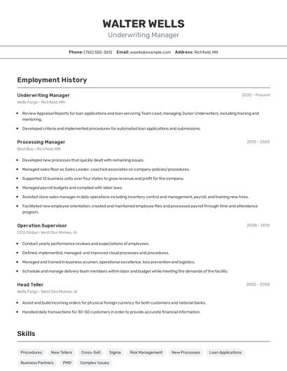 Resume example 2