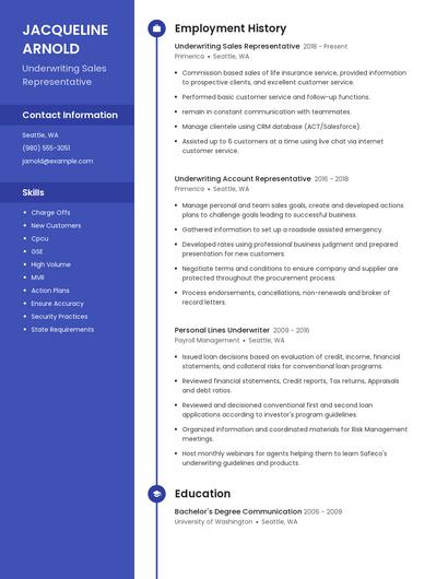 Underwriting Sales Representative Resume