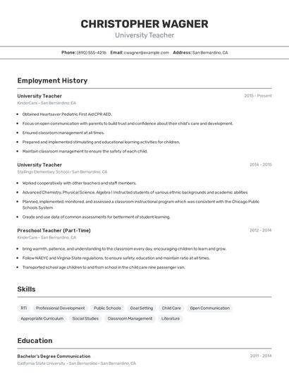 University Teacher Resume