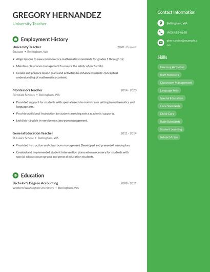 University Teacher Resume