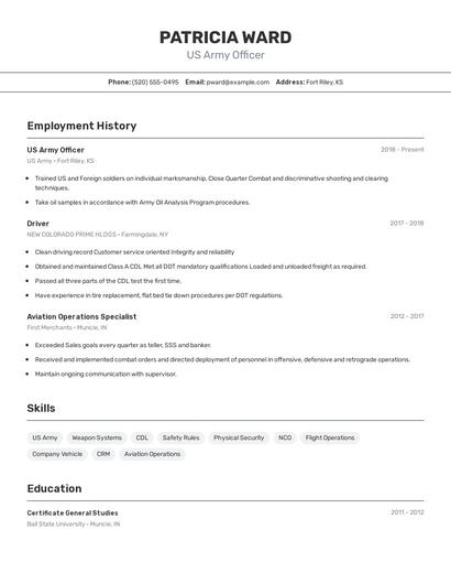 Resume example 2