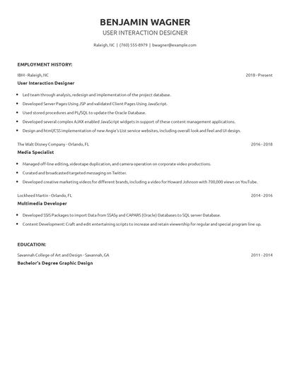 User Interaction Designer Resume