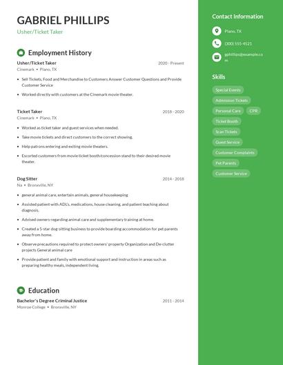 Resume example 5